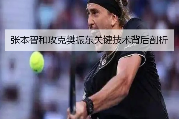 张本智和攻克樊振东关键技术背后剖析